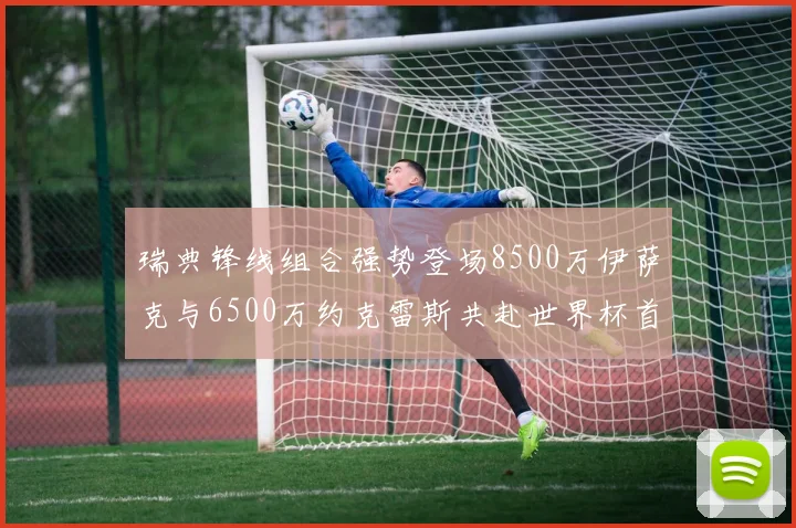 瑞典锋线组合强势登场8500万伊萨克与6500万约克雷斯共赴世界杯首秀