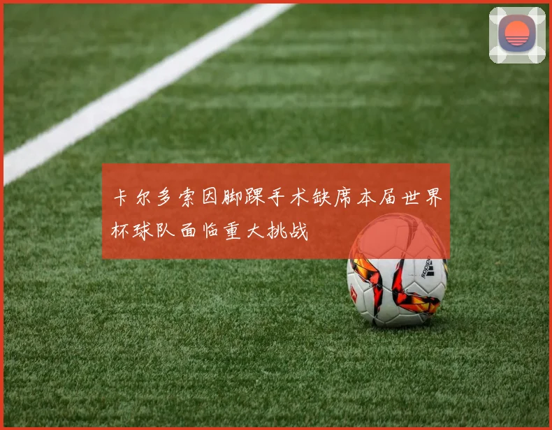 卡尔多索因脚踝手术缺席本届世界杯球队面临重大挑战