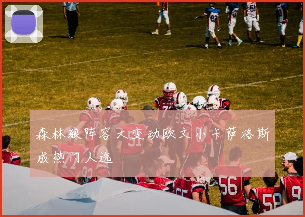 森林狼阵容大变动欧文小卡萨格斯成热门人选
