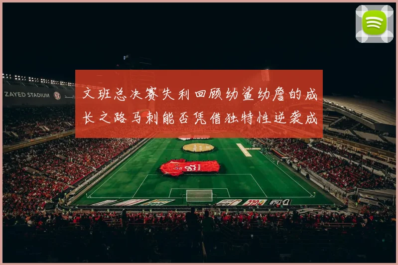 文班总决赛失利回顾幼鲨幼詹的成长之路马刺能否凭借独特性逆袭成功